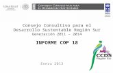 Consejo Consultivo para el Desarrollo Sustentable Región Sur Generación 2011 – 2014 I NFORME COP 18 Enero 2013.
