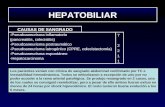 HEPATOBILIAR -Pseudoaneurisma inflamatorio (pancreatitis, colecistitis) -Pseudoaneurisma postraumático -Pseudoaneurisma iatrogénico (CPRE, colecistectomía)