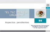 Representación Permanente de México ante la ALADI 27 de mayo de 2011 EL TLC MÉXICO – URUGUAY” “EL TLC MÉXICO – URUGUAY” Aspectos pendientes.