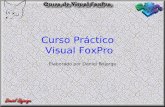 Curso Práctico Visual FoxPro Elaborado por Daniel Bojorge.