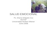 SALUD EMOCIONAL Ps. Eliana Delgado Coz HCFAP Universidad Norbert Wiener Junio 2008.
