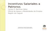 Incentivos Salariales a Patronos Carlos R. Martínez Vélez Oficial de Apoyo y Modalidades de Empleo Región de Caguas DEPARTAMENTO DEL TRABAJO Y RECURSOS.
