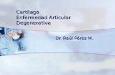 Cartílago Enfermedad Articular Degenerativa Dr. Raúl Pérez M.