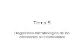 Tema 5 Diagnóstico microbiológico de las infecciones osteoarticulares.