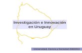 Investigación e Innovación en Uruguay Universidad, Ciencia y Sociedad 20/6/2013.