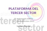 25 Aniversario SARTU 19 y 20 septiembre 2013 Luciano Poyato PLATAFORMA DEL TERCER SECTOR.
