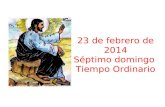 23 de febrero de 2014 Séptimo domingo Tiempo Ordinario.