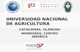UNIVERSIDAD NACIONAL DE AGRICULTURA CATACAMAS, OLANCHO HONDURAS, CENTRO AMERICA.