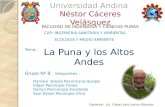 Universidad Andina Néstor Cáceres Velásquez FACULTAD DE INGENIERIA Y CIENCIAS PURAS CAP: INGENIERIA SANITARIA Y AMBIENTAL La Puna y los Altos Andes Tema.