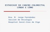 ESTADIAXE DO CANCRO COLORECTAL CÁNDO E CÓMO Dra. M. Jorge Fernández Sección de Oncología Hospital Xeral-Cíes de Vigo.