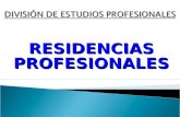 RESIDENCIASPROFESIONALES. PERIODO DE RESIDENCIAS AGOSTO-DICIEMBRE 2009.
