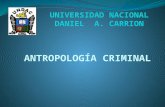 ENFOQUE ANTROPOLÓGICO DE LA CRIMINOLOGÍA La criminología es una ciencia que ha nacido del estudio de las conductas antisociales del hombre, por lo tanto.