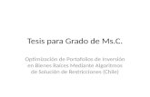 Tesis para Grado de Ms.C. Optimización de Portafolios de Inversión en Bienes Raíces Mediante Algoritmos de Solución de Restricciones (Chile)
