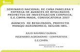 SEMINARIO NACIONAL DE CAÑA PANELERA Y ENTREGA DE AVANCES DE RESULTADOS PROYECTOS DE INVESTIGACION CORPOICA, E.E.CIMPA-MADR, CONVOCATORIA 2007 AVANCES DE.