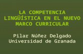 LA COMPETENCIA LINGÜÍSTICA EN EL NUEVO MARCO CURRICULAR Pilar Núñez Delgado Universidad de Granada.