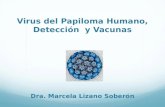 Virus del Papiloma Humano, Detección y Vacunas Dra. Marcela Lizano Soberón.