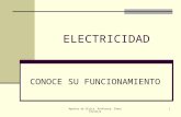 Apuntes de física. Profesora: Charo Ferreira1 ELECTRICIDAD CONOCE SU FUNCIONAMIENTO.