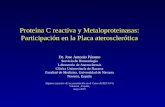 Proteína C reactiva y Metaloproteinasas: Participación en la Placa aterosclerótica Dr. Jose Antonio Páramo Servicio de Hematología Laboratorio de Aterosclerosis.