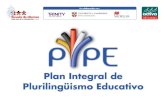 Programas de implantación Entrega placa PIPE al Colegio Ntra Sra de la Consolación – Valencia 26 Sept 2013.