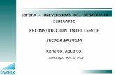 1 SEMINARIO RECONSTRUCCIÓN INTELIGENTE SECTOR ENERGÍA Renato Agurto SOFOFA – UNIVERSIDAD DEL DESARROLLO Santiago, Abril 2010.