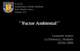 ``Factor Ambiental´´ F.A.U.G. Arquitectura y Medio Ambiente Prof: Claudia Castro Trabajo Nº3 Leonardo Suárez La Floresta L, Hualpén 28 Dic 2009.