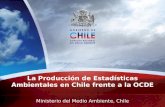 La Producción de Estadísticas Ambientales en Chile frente a la OCDE Ministerio del Medio Ambiente, Chile.
