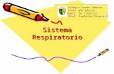 Sistema Respiratorio Colegio Santa Sabina Sexto año básico Depto. De Ciencias Prof. Paulette Rivera F.