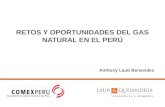 RETOS Y OPORTUNIDADES DEL GAS NATURAL EN EL PERÚ December, 2013 Anthony Laub Benavides.