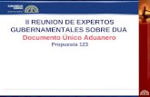 II REUNION DE EXPERTOS GUBERNAMENTALES SOBRE DUA Documento Único Aduanero Propuesta 123.