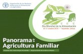 Panorama Agricultura Familiar la de Presenta: Dra. Nuria Urquía Fernández Representante de la FAO en México.