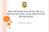 N EUROPSICOLOGÍA DE LA MOTIVACIÓN : LOS MOTIVOS HUMANOS Dr. Ricardo Canales G.