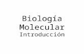 Biología Molecular Introducción. Tipos de organismos Procariontes: –consisten de una sola célula, su material genético no está compartamentalizado, es.