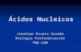 Ácidos Nucleicos Jonathan Rivero Guzmán Biología Profundización PRE-USM.