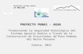 “Promoviendo la Seguridad Hidrológica del Sistema Agrario Andino a Través de la Conservación de Ecosistemas de Puna Húmeda del Norte Peruano” Cuenca, 2012.