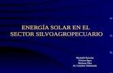 ENERGÍA SOLAR EN EL SECTOR SILVOAGROPECUARIO Michelle Briceño Viviana Egea Mariana Díaz M. Carolina Valenzuela.