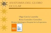 ANATOMIA DEL GLOBO OCULAR Olga García Lauroba Rosa González González Bloque Quirúrgico Hospital de la Esperanza.