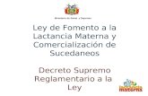 Ley de Fomento a la Lactancia Materna y Comercialización de Sucedaneos Decreto Supremo Reglamentario a la Ley Ministerio de Salud y Deportes.