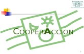 1 C OOPER A CCION 2 Vigilancia de las Políticas Sociales y Ambientales Locales de las empresas extractivas Julia Cuadros Falla Noviembre 2010.