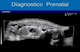 Diagnostico Prenatal. Diagnóstico Prenatal  Hoy en día se puede detectar desde etapas muy tempranas del embarazo malformaciones y anomalías de muy diversa.