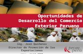 Oportunidades de Desarrollo del Comercio Exterior Peruano Ing. José Quiñones Director de Promoción de las Exportaciones Lima, abril 2008.