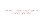 TEMA 3: LA RELACIÓN Y LA COORDINACIÓN. 1. Elementos de la función de relación Elementos de la relación 1. Estímulos Físicos Químicos Bióticos Internos.
