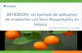 Www.benebion.com - 1 - BENEBION: Un ejemplo de aplicación de irradiación con fines fitosanitarios en México Arved Deecke/IPEN, Peru / Nov/2012.