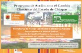 Programa de Acción ante el Cambio Climático del Estado de Chiapas Secretaría de Medio Ambiente e Historia Natural Subsecretaría de Cambio Climático Dirección.
