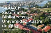 Universidad Austral de Chile “La base del conocimiento universitario” SiBUACh Sistema de Bibliotecas Universidad Austral de Chile Sistema de Bibliotecas.