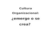 Cultura Organizacional: ¿emerge o se crea? Joan Cohí General Manager, Grupo MC Asociados 23 de febrero de 2012.