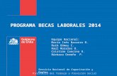 PROGRAMA BECAS LABORALES 2014 Servicio Nacional de Capacitación y Empleo Ministerio del Trabajo y Previsión Social Equipo Nacional: María Inés Navarro.