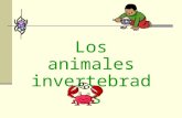 Los animales invertebrados. Los animales invertebrados Los animales invertebrados son los que no tienen un esqueleto interno con columna vertebral. Se.