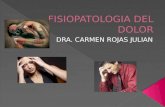 Concepto Causas Importancia Bases normofuncionales / Fisiopatología Dolor fisiológico / patológico Bases para caracterización del dolor Semiología.