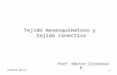 17/04/2015 20:011 Tejido mesenquimatoso y tejido conectivo Prof. Héctor Cisternas R.
