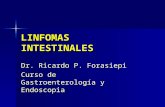 LINFOMAS INTESTINALES Dr. Ricardo P. Forasiepi Curso de Gastroenterología y Endoscopia.